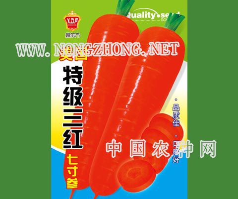 美国特级三红七寸参